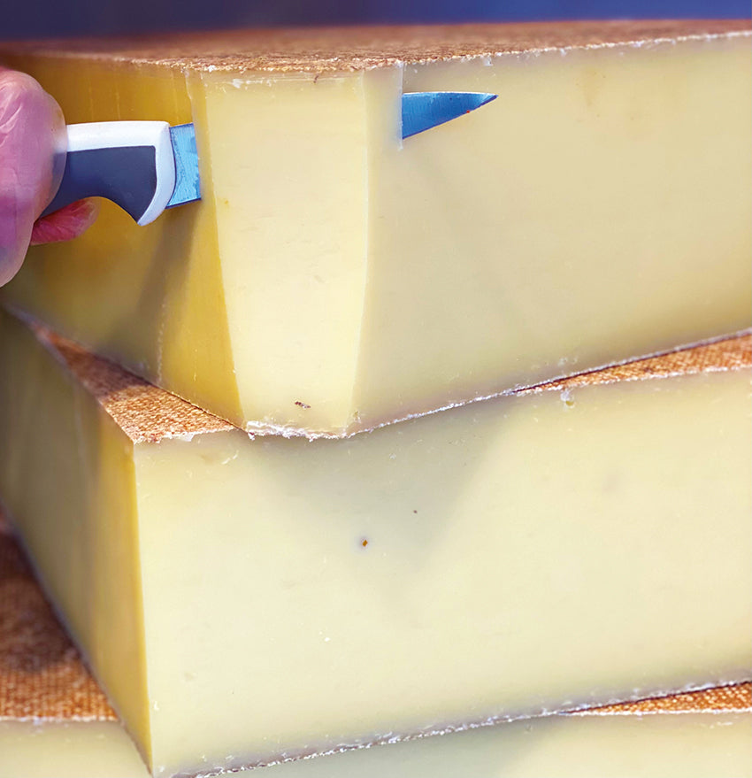 Gereifter Bergkäse 12 Monate
